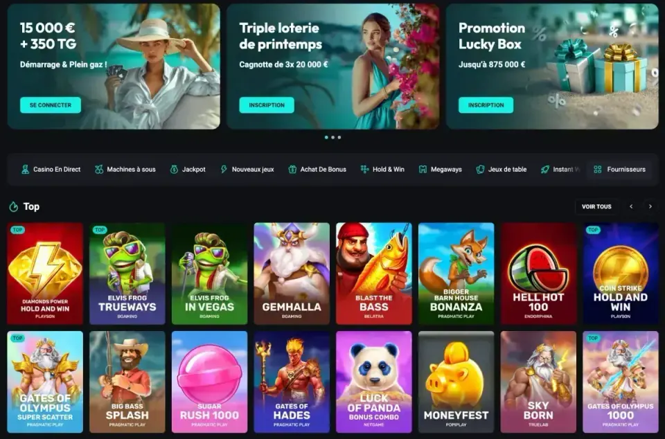 Aperçu de l’interface Bet Riviera